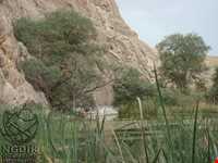 چشمه بالنگان حاجی آباد