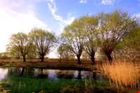 چشمه بالنگان حاجی آباد