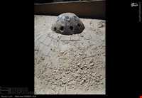 Mosque of Sheikh Ali Akbar