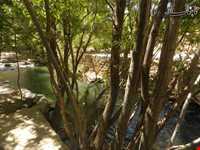 Shesh pir Spring ( shesh pir Lake )