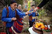 نوروزخوانی مازندرانی