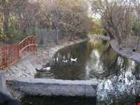 پارک ملت مشهد