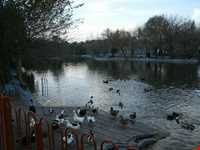 پارک ملت مشهد