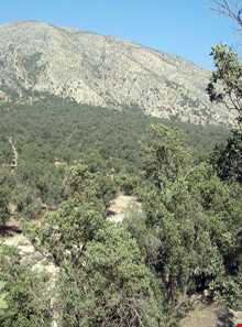 منطقه حفاظت شده ماله گاله