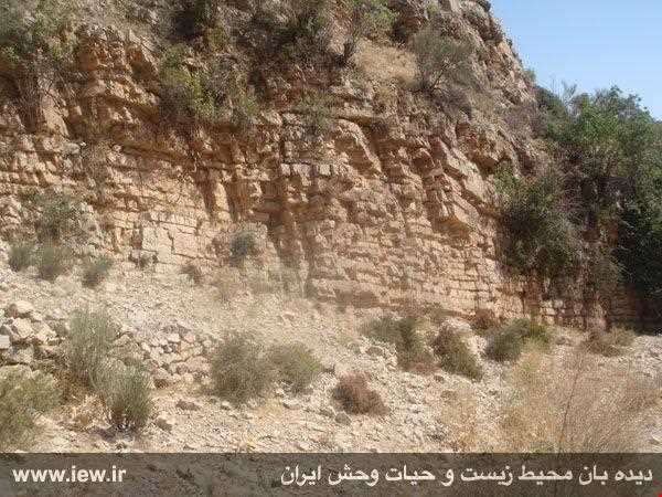 Male gale Protected Area