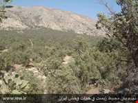 Male gale Protected Area