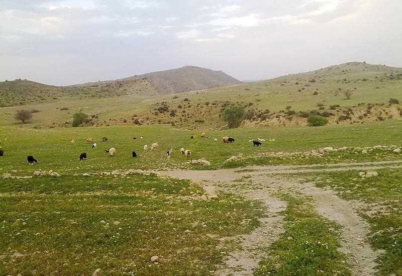 Koh dera Protected Area