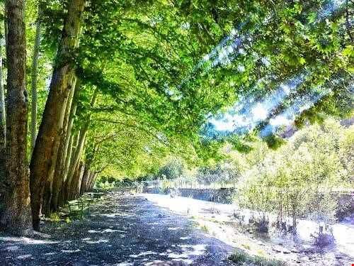 پارک وکیل آباد مشهد