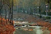 پارک وکیل آباد مشهد