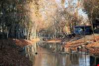 پارک وکیل آباد مشهد