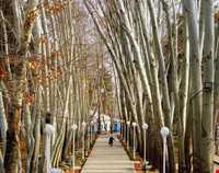 پارک وکیل آباد مشهد