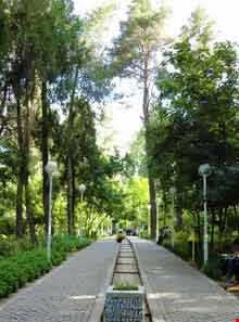 پارک وکیل آباد مشهد