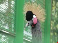 پارک وکیل آباد مشهد