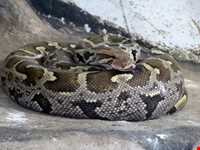 پارک وکیل آباد مشهد