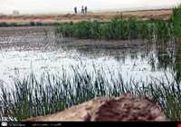 تالاب هشیلان