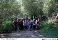 عروسی مازندرانی