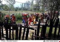 عروسی مازندرانی