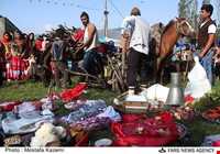 عروسی مازندرانی