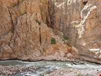 تنگ درکش ورکش