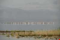 دریاچه هیرم