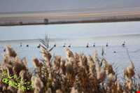 دریاچه هیرم