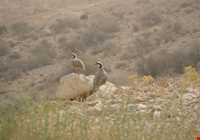 Koh hava and tangkhor Protected Area
