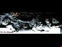 آرامگاه فردوسی