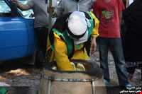 جشن 26 نوروز ماه