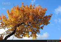 روستای نگارمن