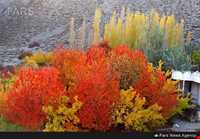 روستای نگارمن