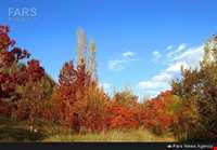 روستای نگارمن