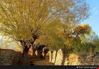 روستای نگارمن