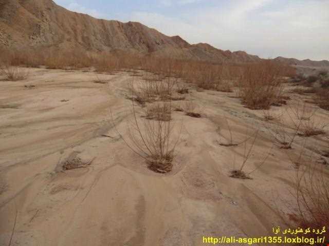 روستای بهورد