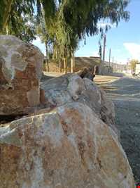 روستای برم سیاه