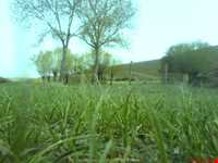 Namakeh Village ( Namakeh castle )