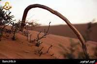 کویر ابوغویر