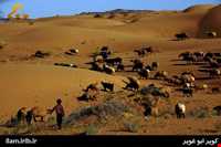 کویر ابوغویر