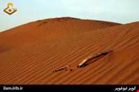 کویر ابوغویر