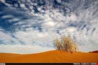 کویر ابوغویر