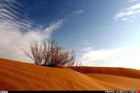 کویر ابوغویر