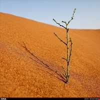 کویر ابوغویر