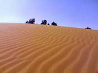 کویر ابوغویر