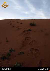 کویر ابوغویر