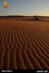 کویر ابوغویر