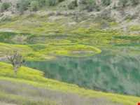 دریاچه سد چم