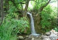 روستای دزلی