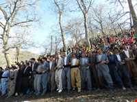 پای کوبی ( رقص کردی )