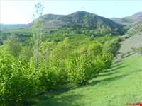 روستای پیرکوه