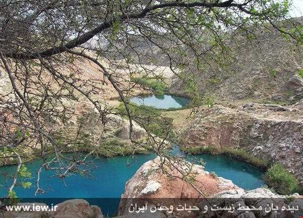 Dinar kooh protected area