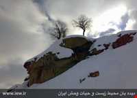 Dinar kooh protected area